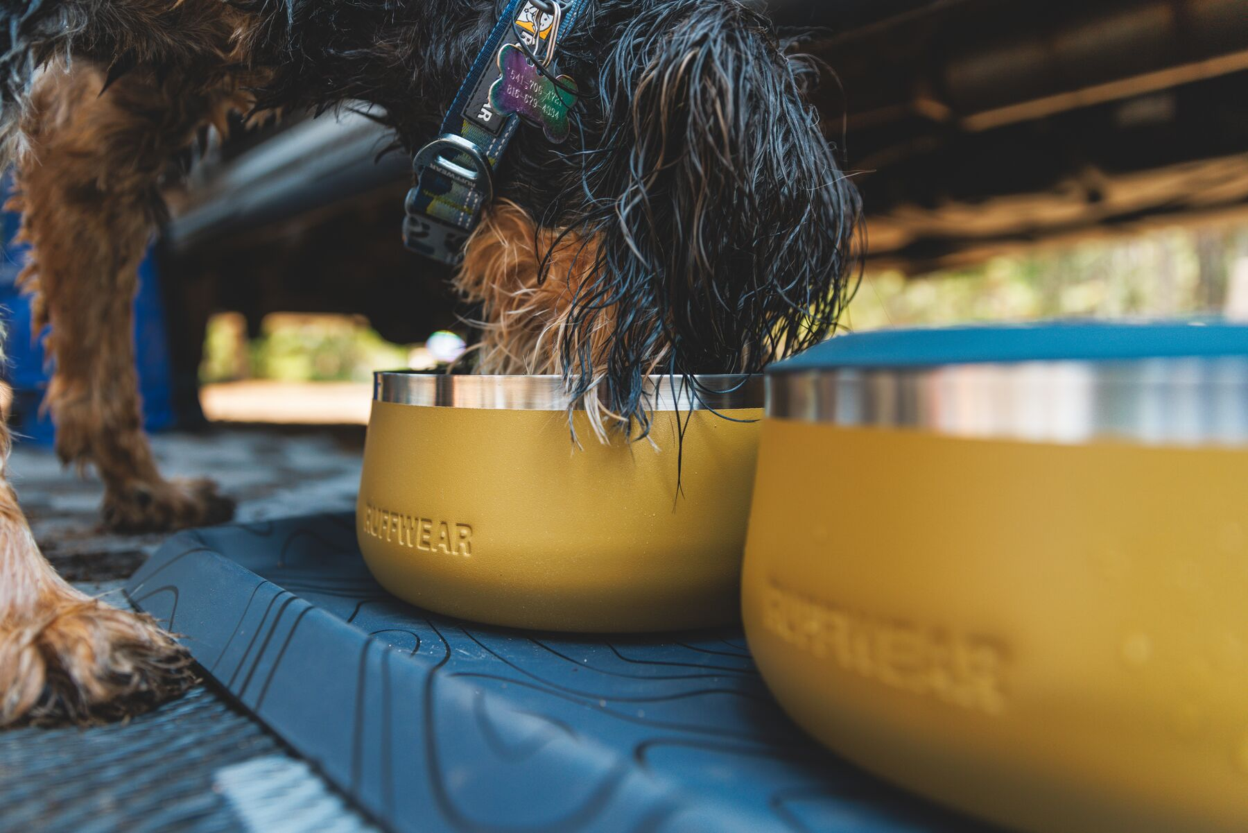 Ruffwear BaseCamp Dog Bowl
