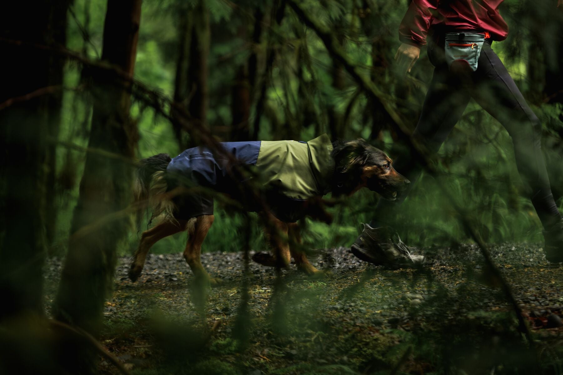 Waterproof Ruffwear Sun Shower dog raincoat with stretch sleeves and a chest zipper for full weatherproof protection