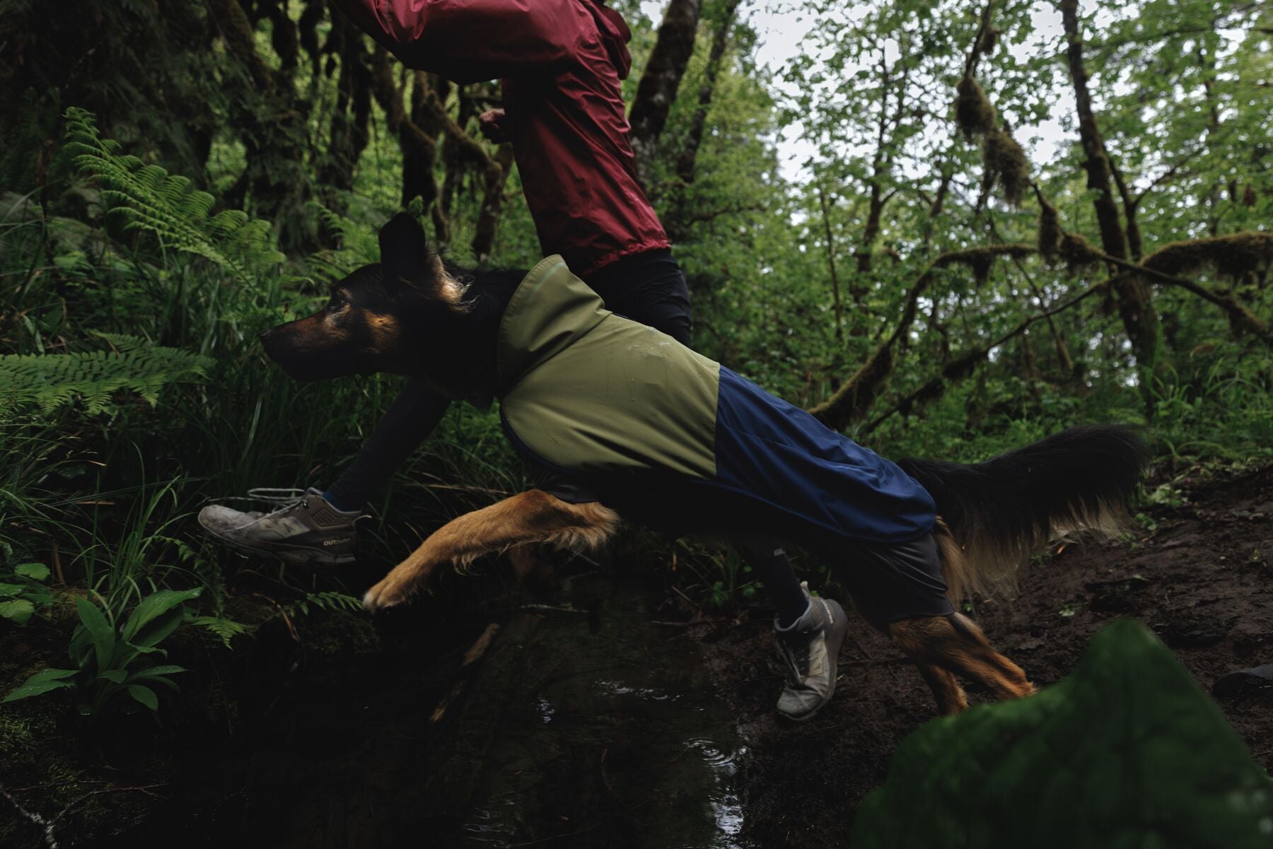 Waterproof Ruffwear Sun Shower dog raincoat with stretch sleeves and a chest zipper for full weatherproof protection