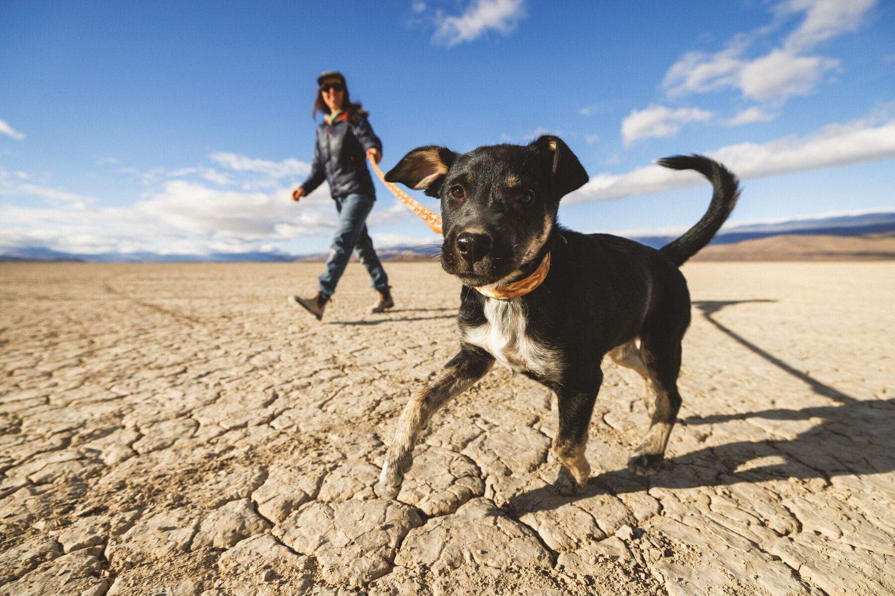 Premium outdoor dog gear: Ruffwear Crag collar displayed with colourfast patterned webbing.