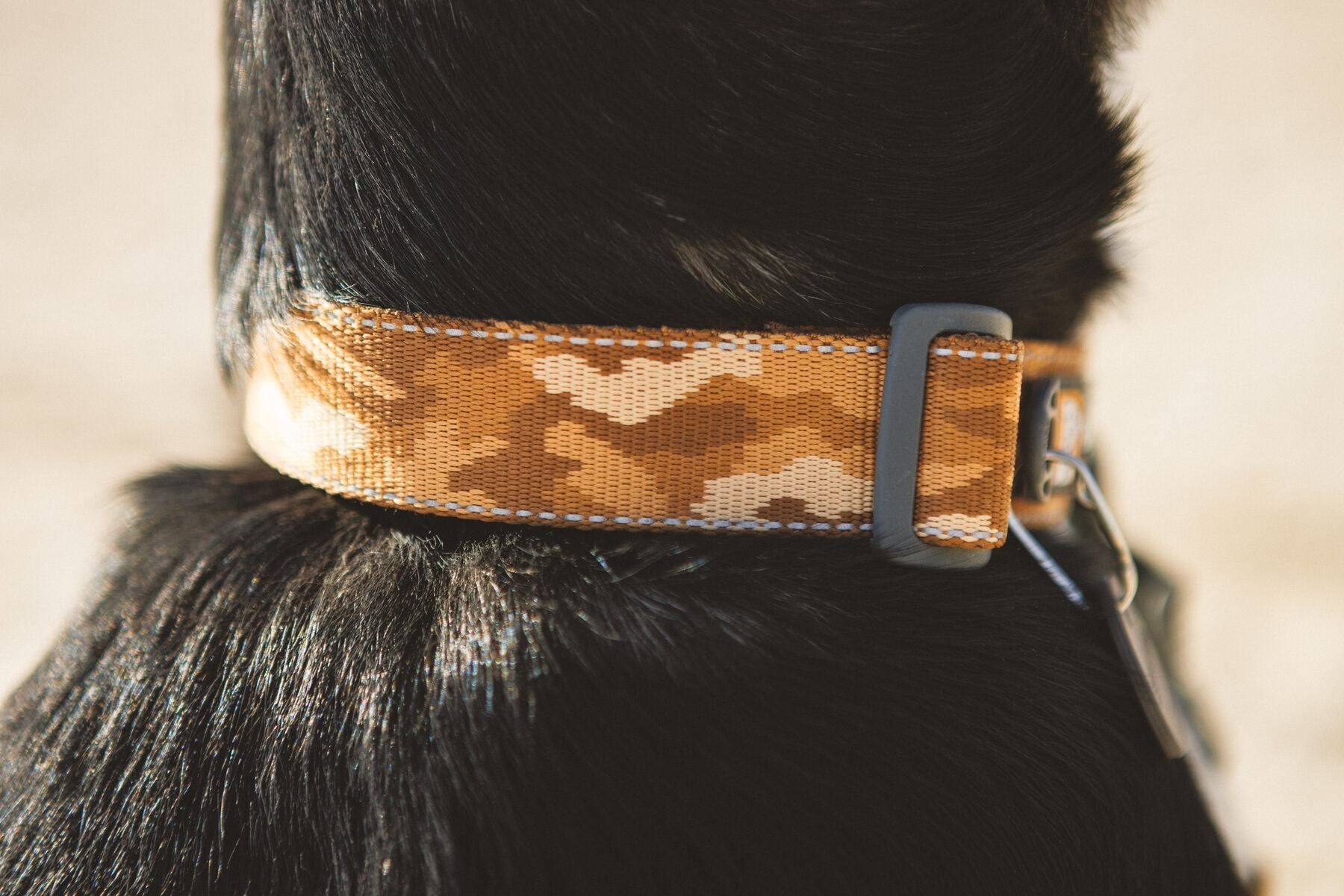 Premium outdoor dog gear: Ruffwear Crag collar displayed with colourfast patterned webbing.