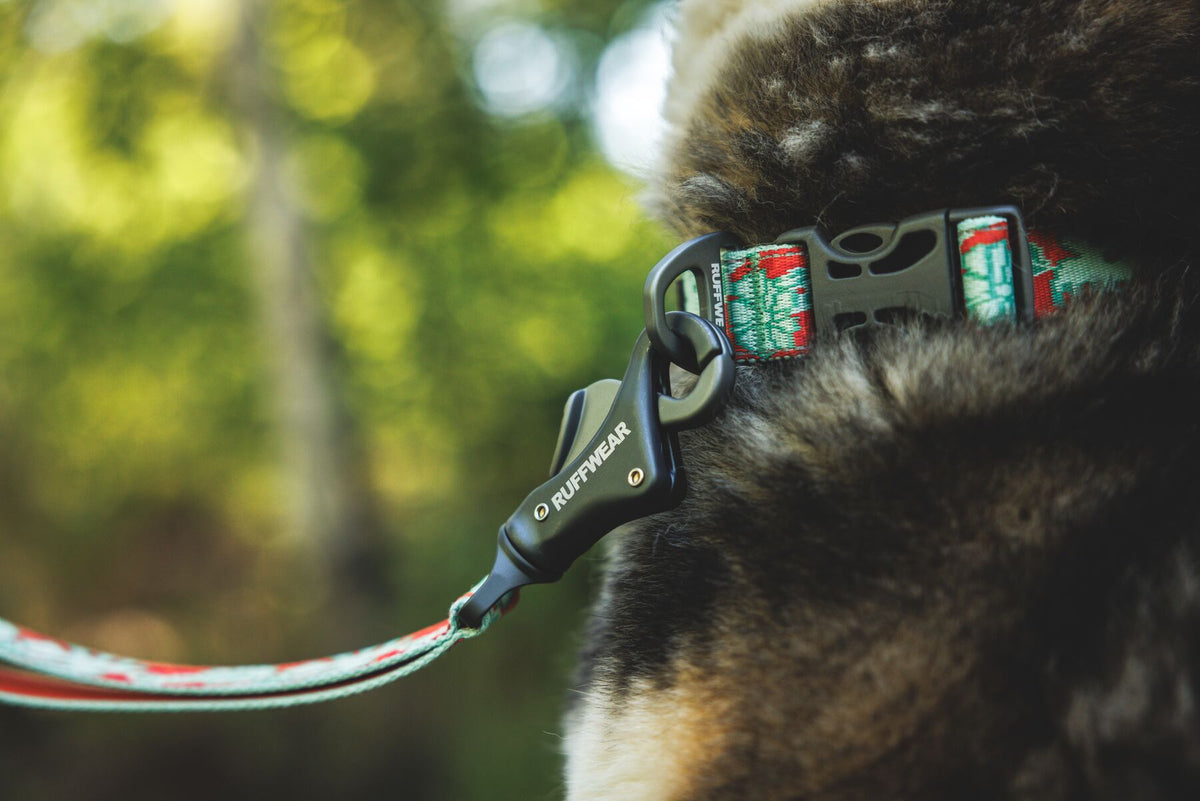 Premium outdoor dog gear: Ruffwear Crag collar displayed with colourfast patterned webbing.