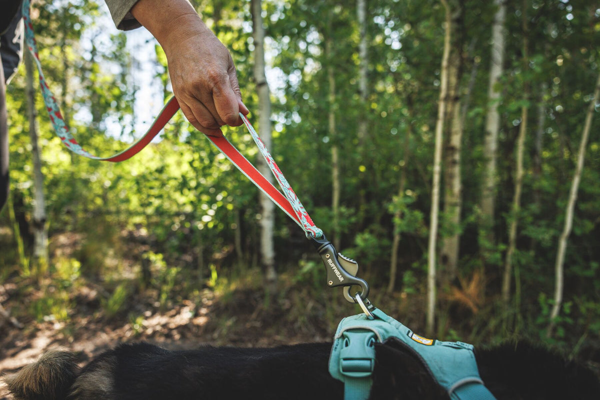 Ruffwear Crag reflective adjustable waist dog leash for hands-free walking, running, and hiking outdoors