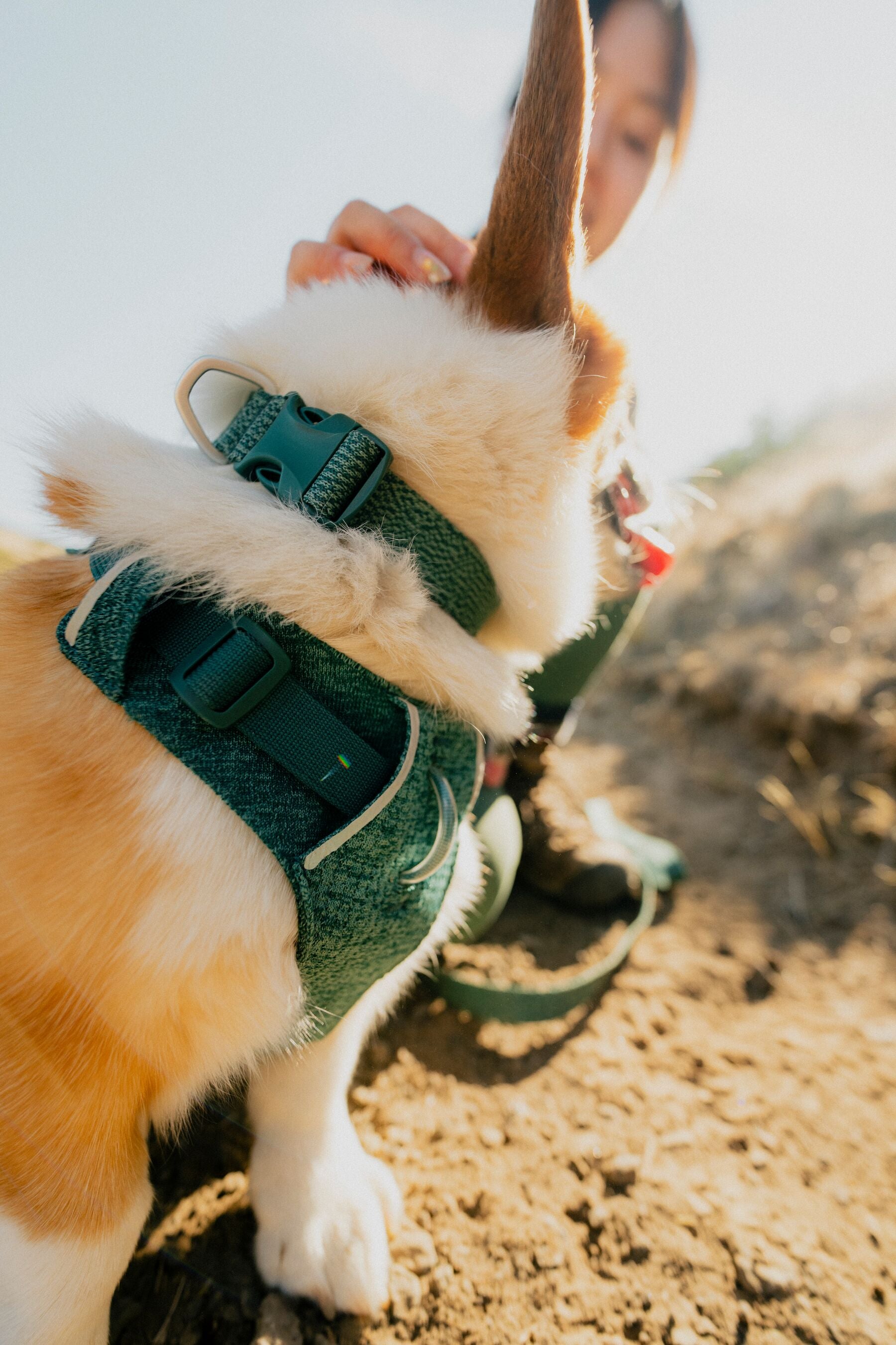 Ruffwear Front Range Flex Collar | Soft Athletic Knit Dog Collar