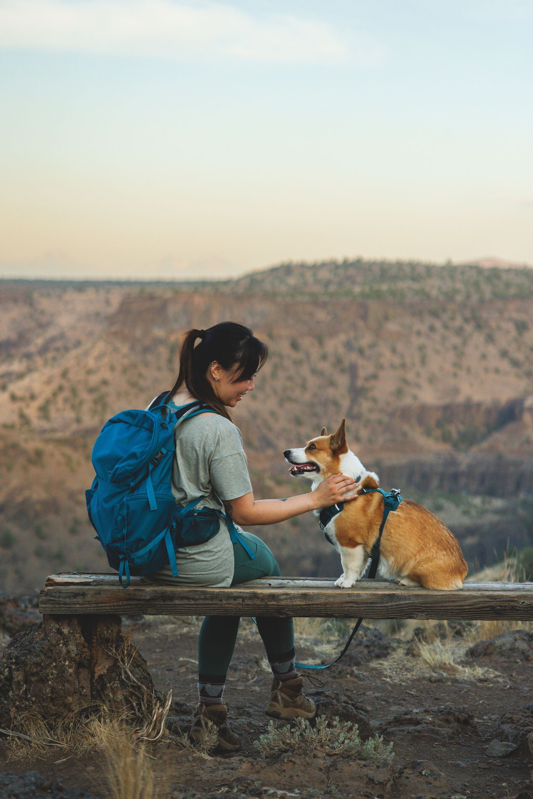 Ruffwear Dog Harness, Front Range Flex Harness