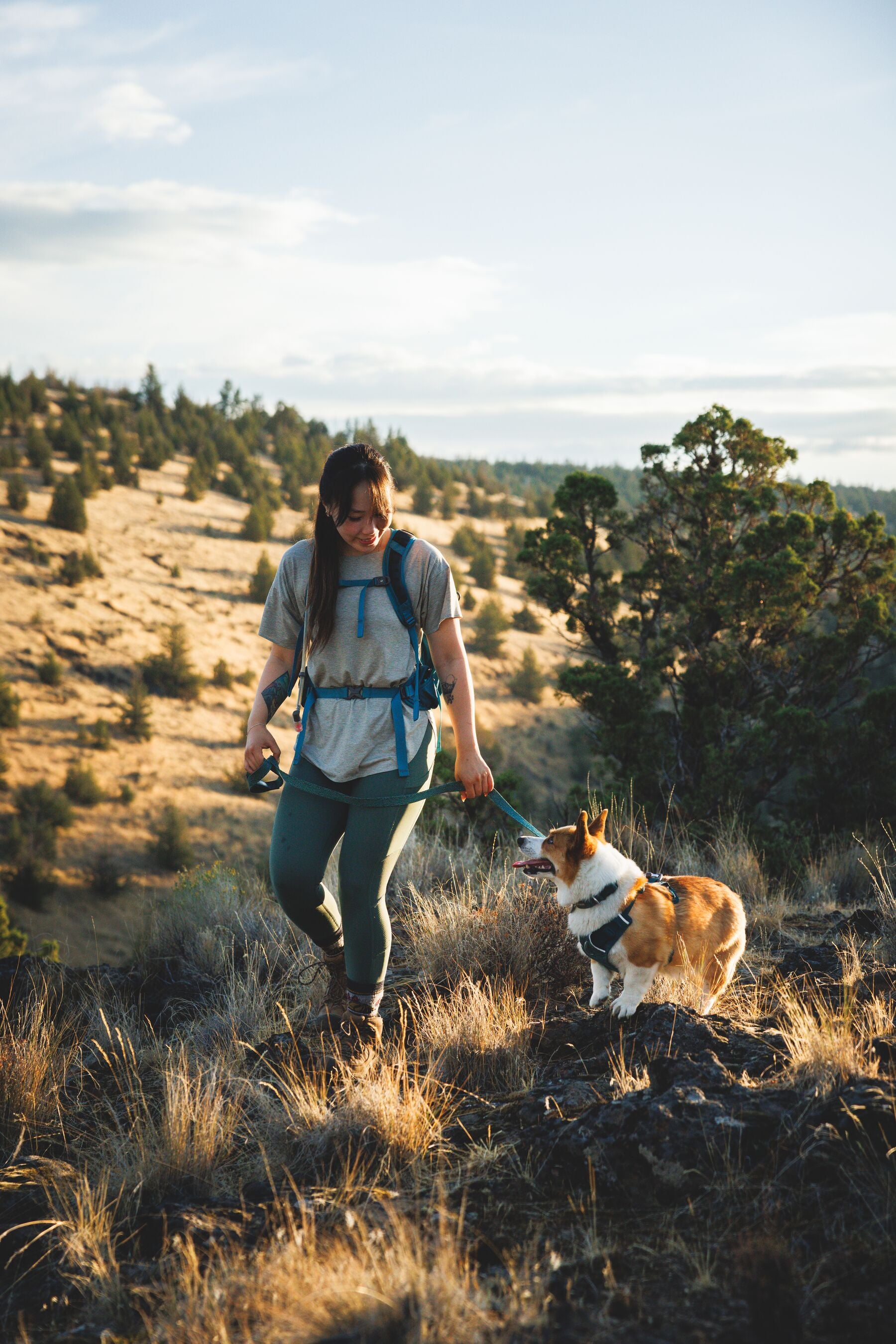 Ruffwear Dog Harness, Front Range Flex Harness