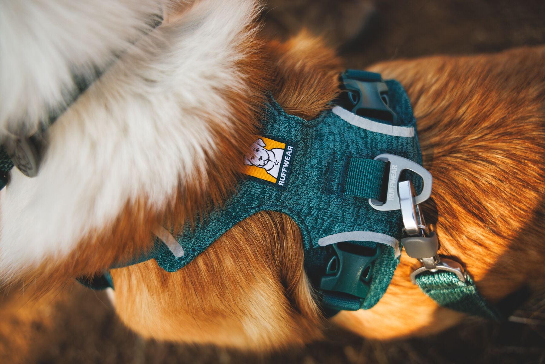 Ruffwear Dog Harness, Front Range Flex Harness