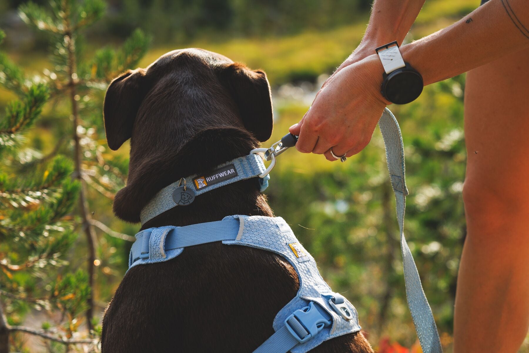 Ruffwear Dog Harness, Front Range Flex Harness