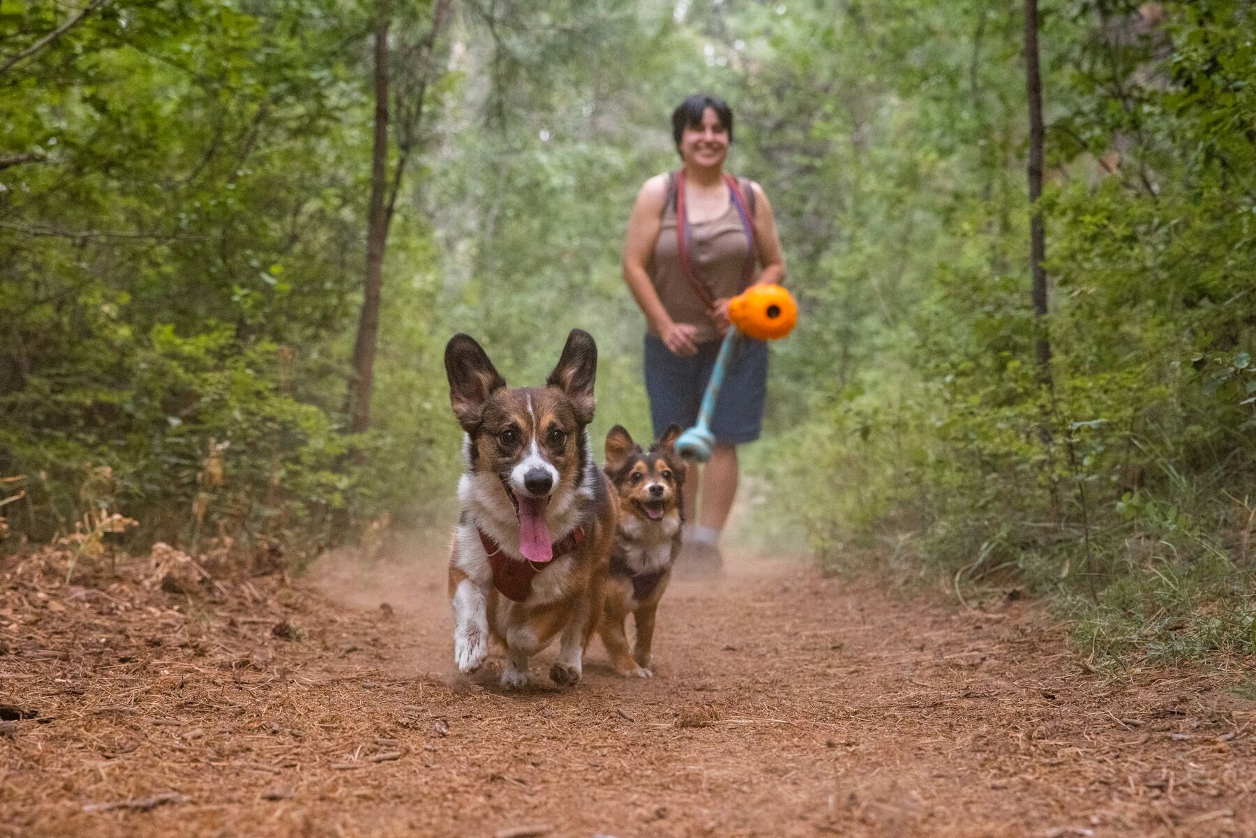 Ruffwear Gourdo Rubber Throw Dog Toy