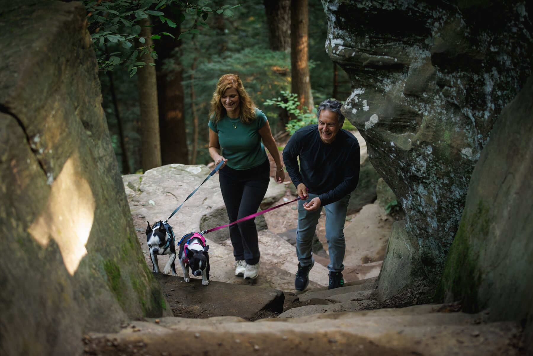 Ruffwear Lightweight Dog Leash: Hi & Light