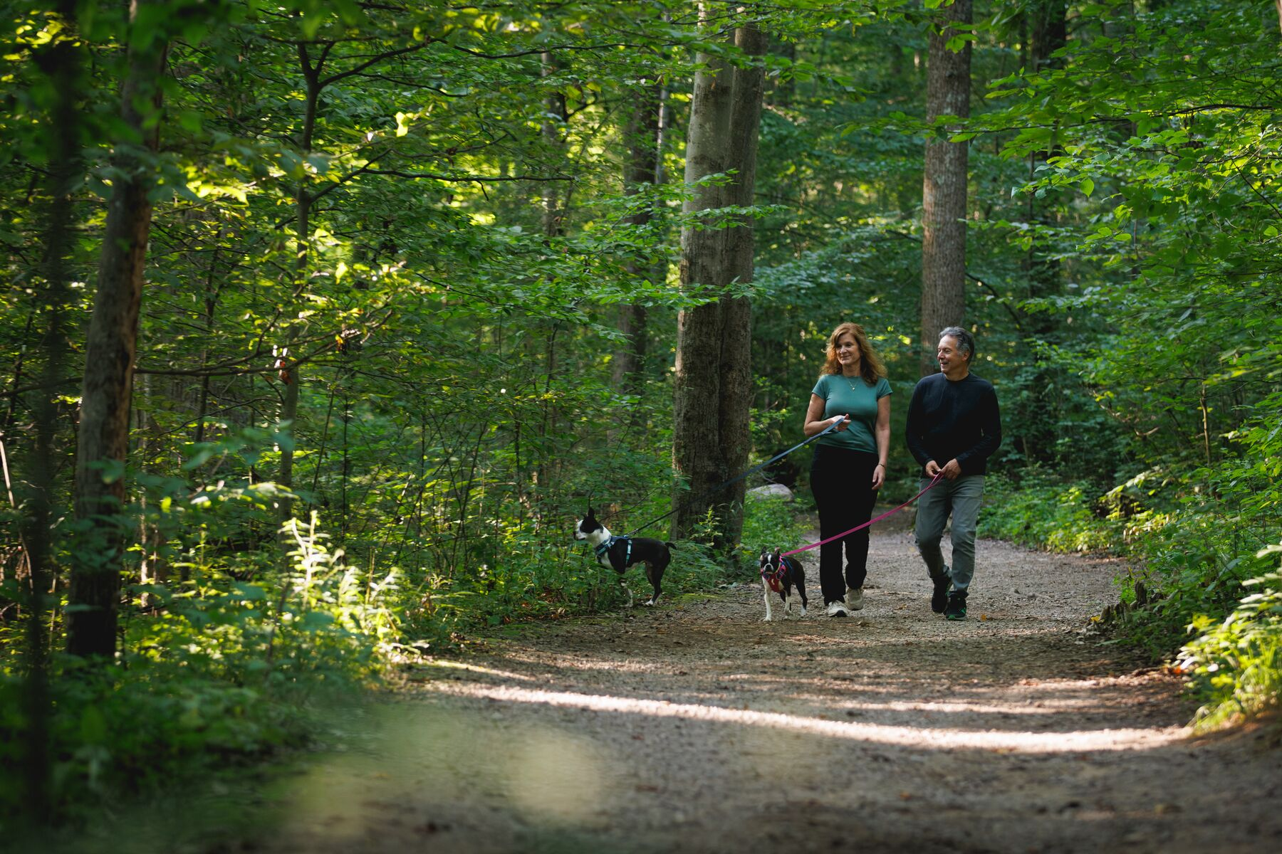 Ruffwear Lightweight Dog Leash: Hi & Light