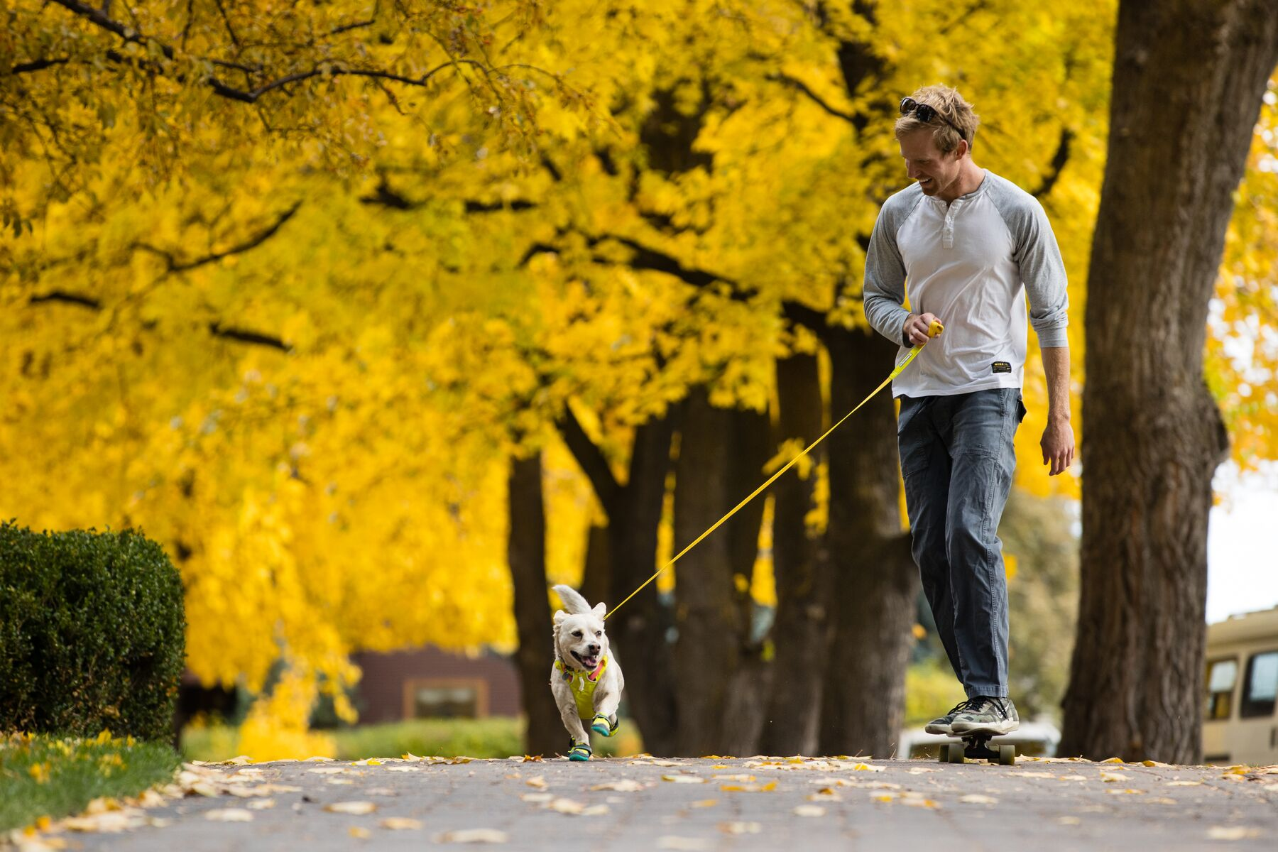 Ruffwear Lightweight Dog Leash: Hi & Light
