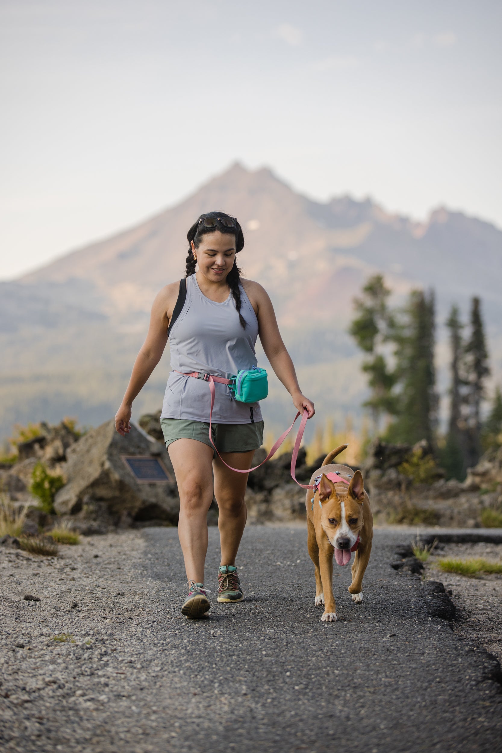 Ruffwear Lightweight Hands-free Dog Leash: Flagline