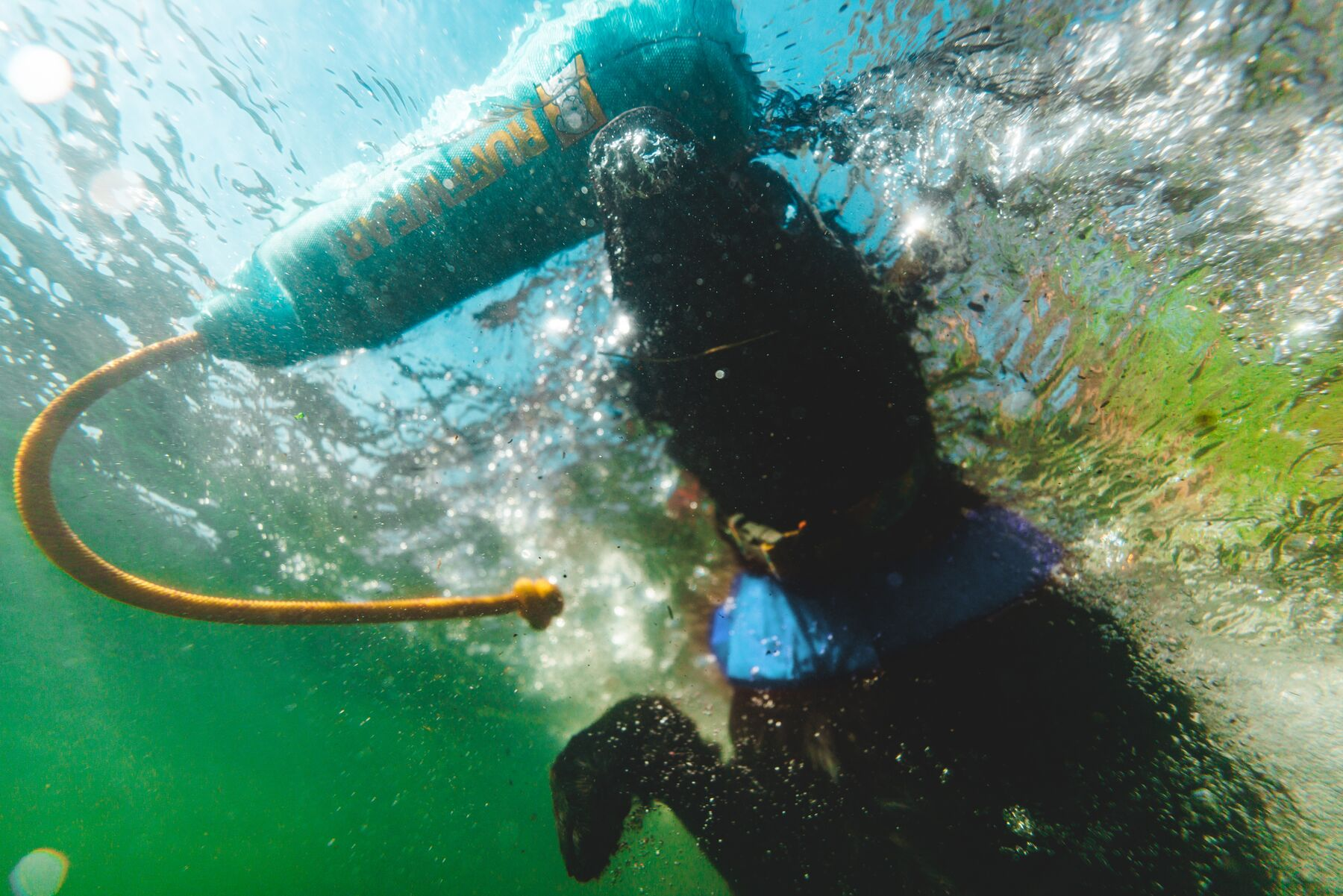 Ruffwear Lunker Floating Throw Dog Toy (New Colours)