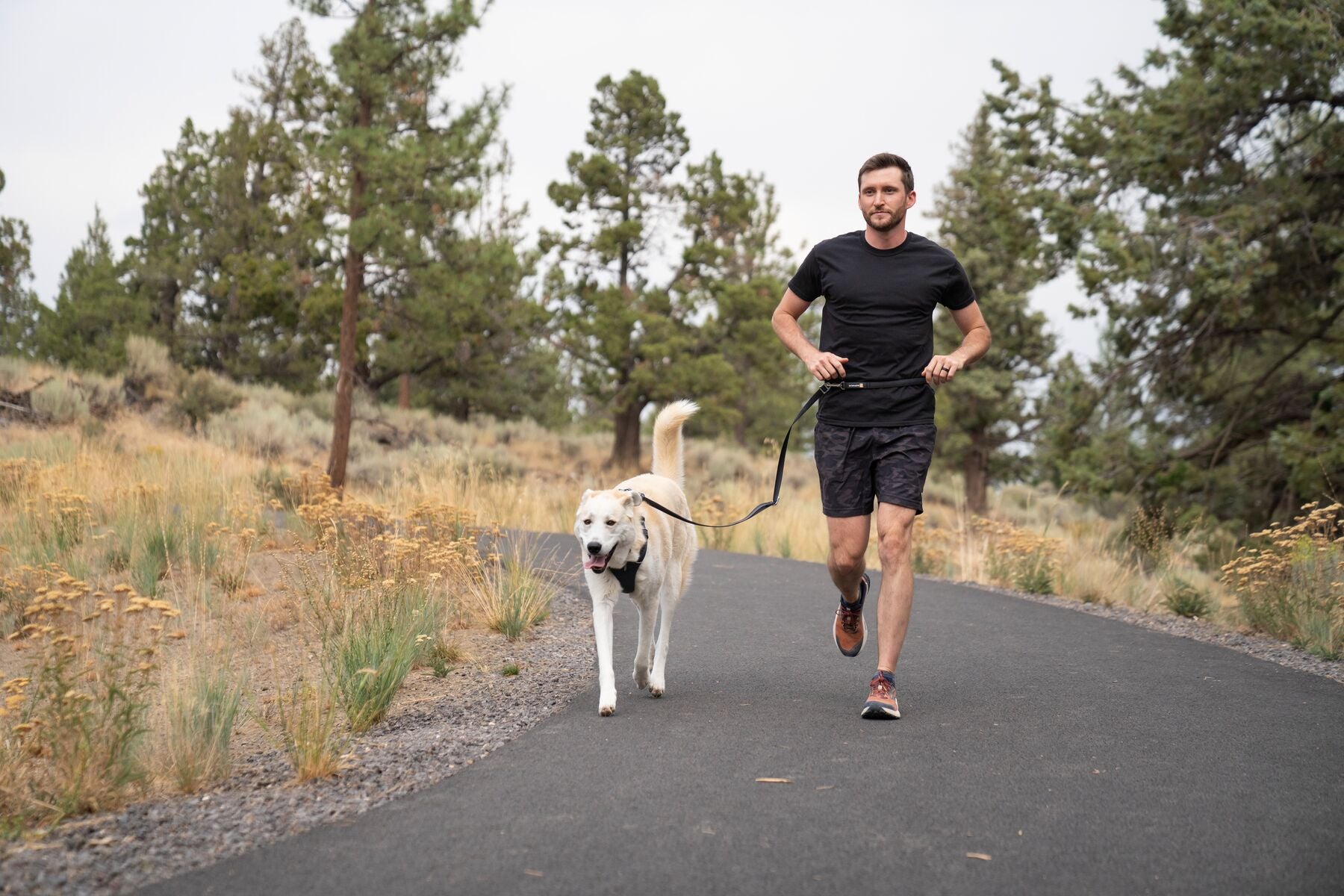 Ruffwear Multi-Function Adjustable Dog Leash: Switchbak
