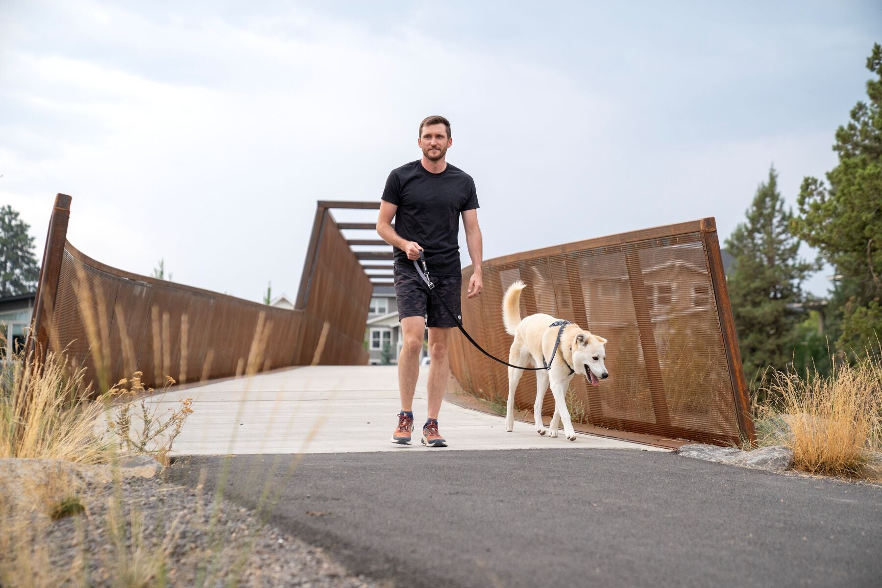 Ruffwear Multi-Function Adjustable Dog Leash: Switchbak