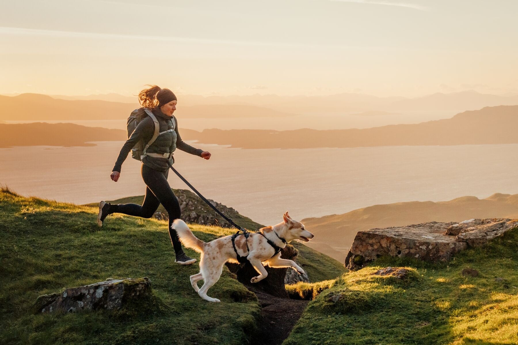 Ruffwear Ridgeline Harness in a streamlined, waterproof X-Pac laminate shell for active dogs.