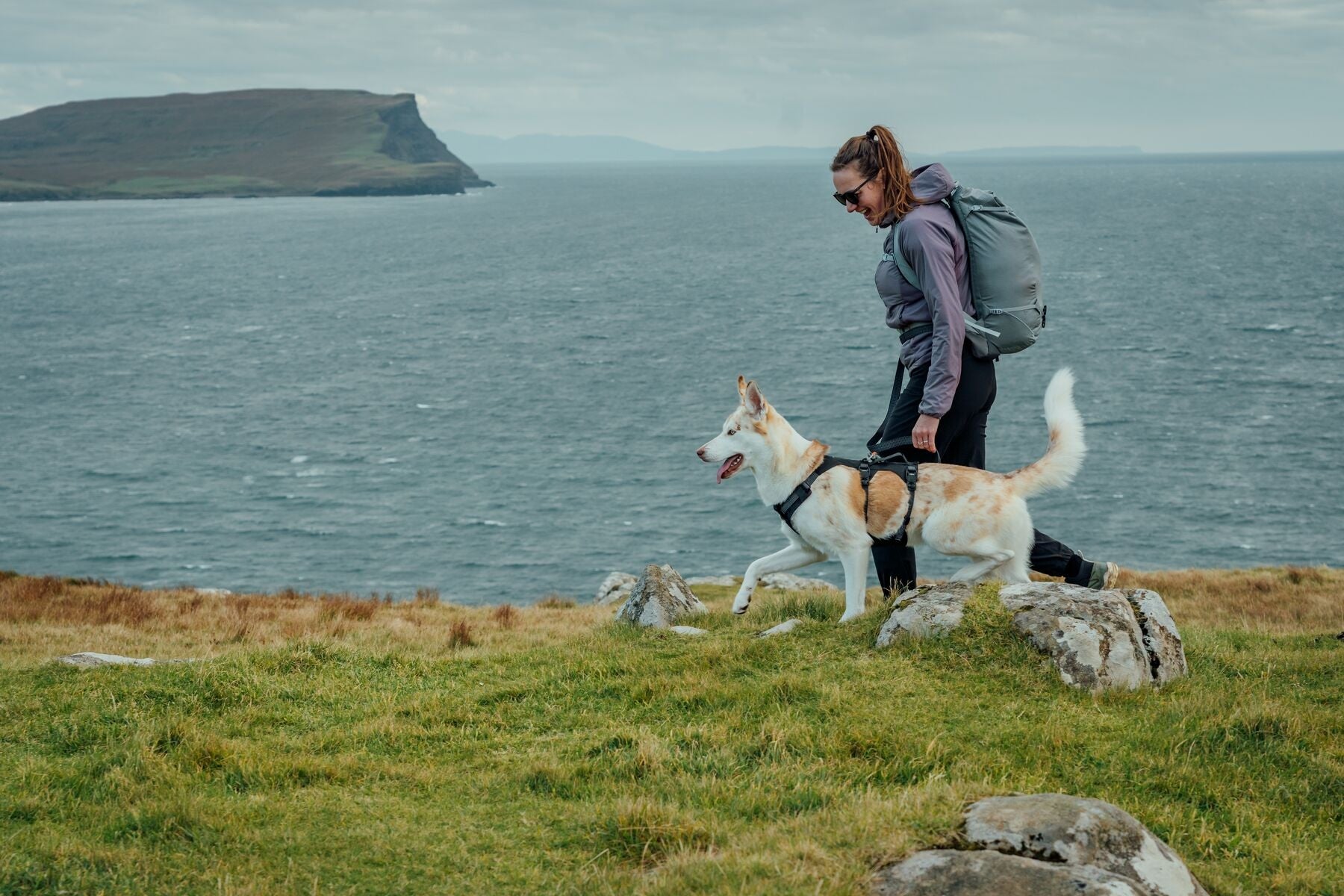 Ruffwear Ridgeline Harness in a streamlined, waterproof X-Pac laminate shell for active dogs.