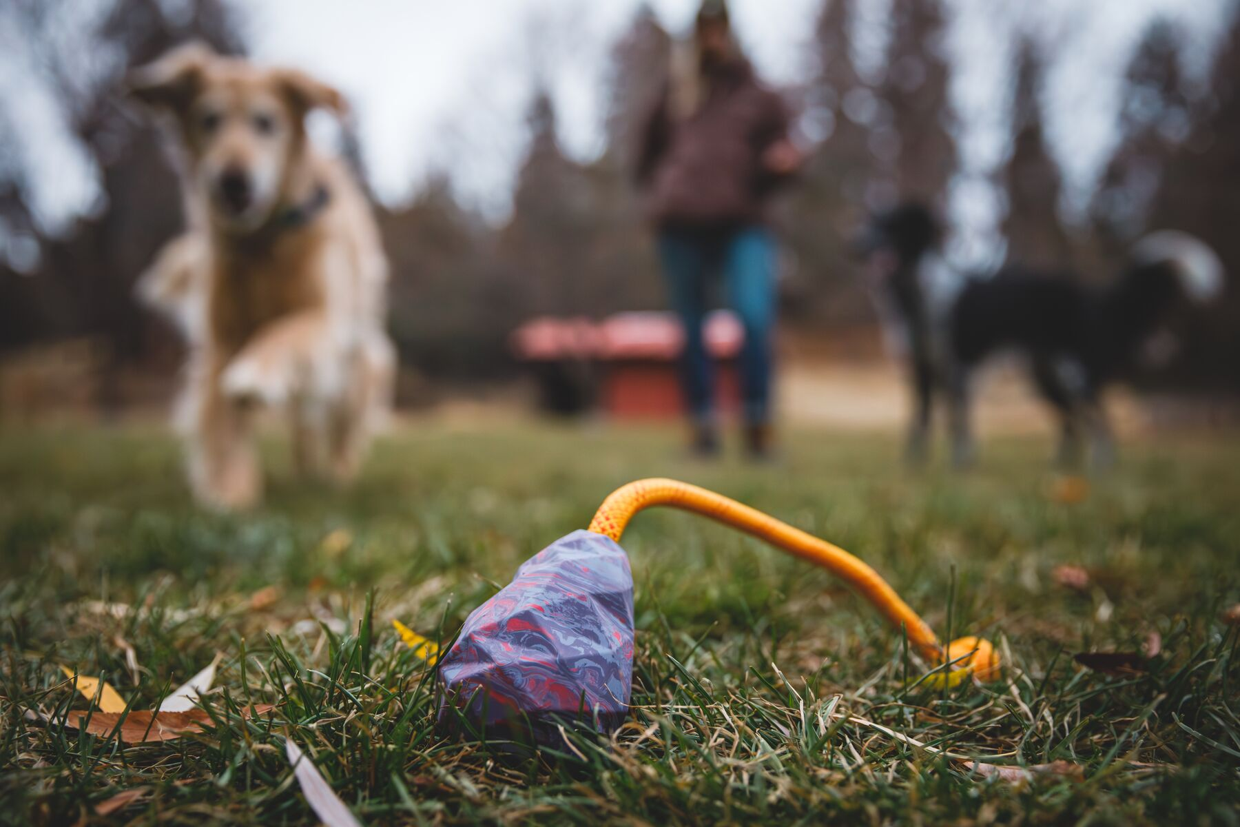 Ruffwear Rubber Tug Dog Toy: Huck-a-Cone
