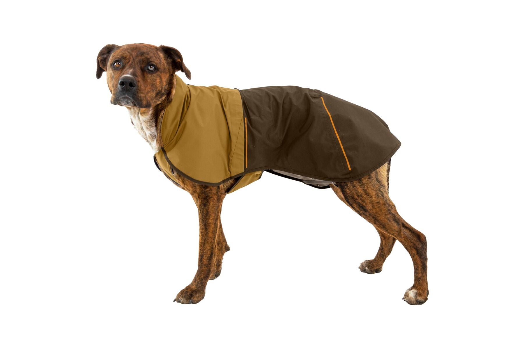 Ruffwear Dog Rain Coat: Sun Shower Jacket