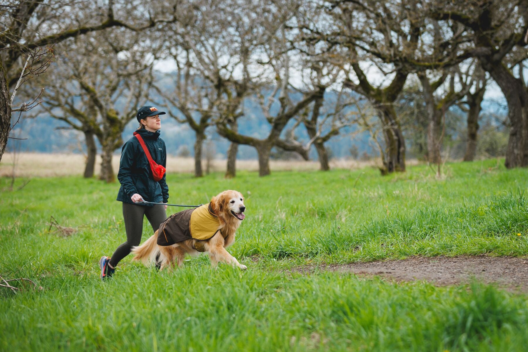 Ruffwear Dog Rain Coat: Sun Shower Jacket