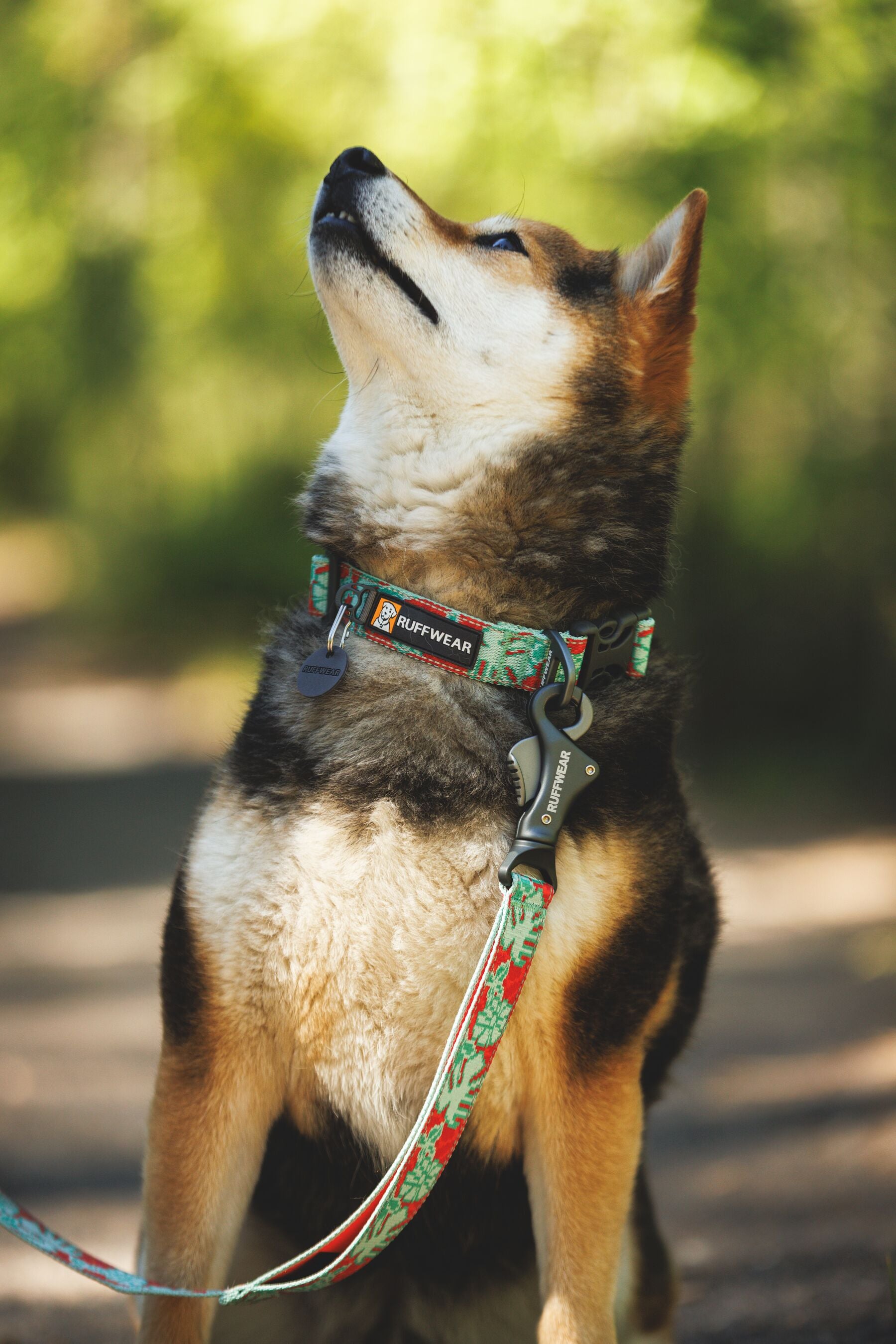 Ruffwear Crag reflective adjustable waist dog leash for hands-free walking, running, and hiking outdoors