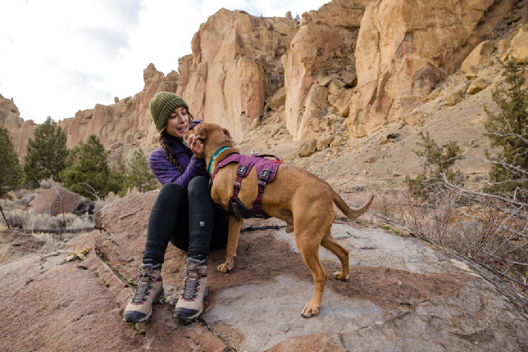 Ruffwear Dog Harness, Web Master (New Colours)