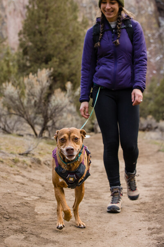 Ruffwear Dog Harness, Web Master (New Colours)
