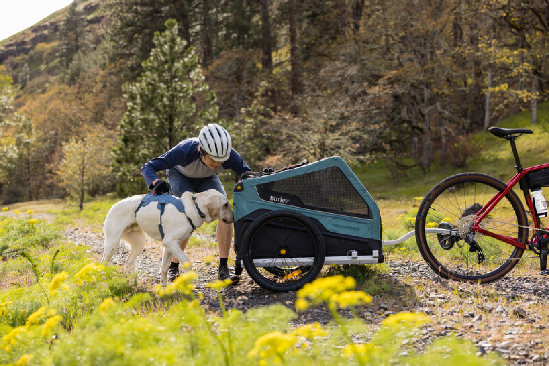 Ruffwear Dog Harness, Web Master (New Colours)