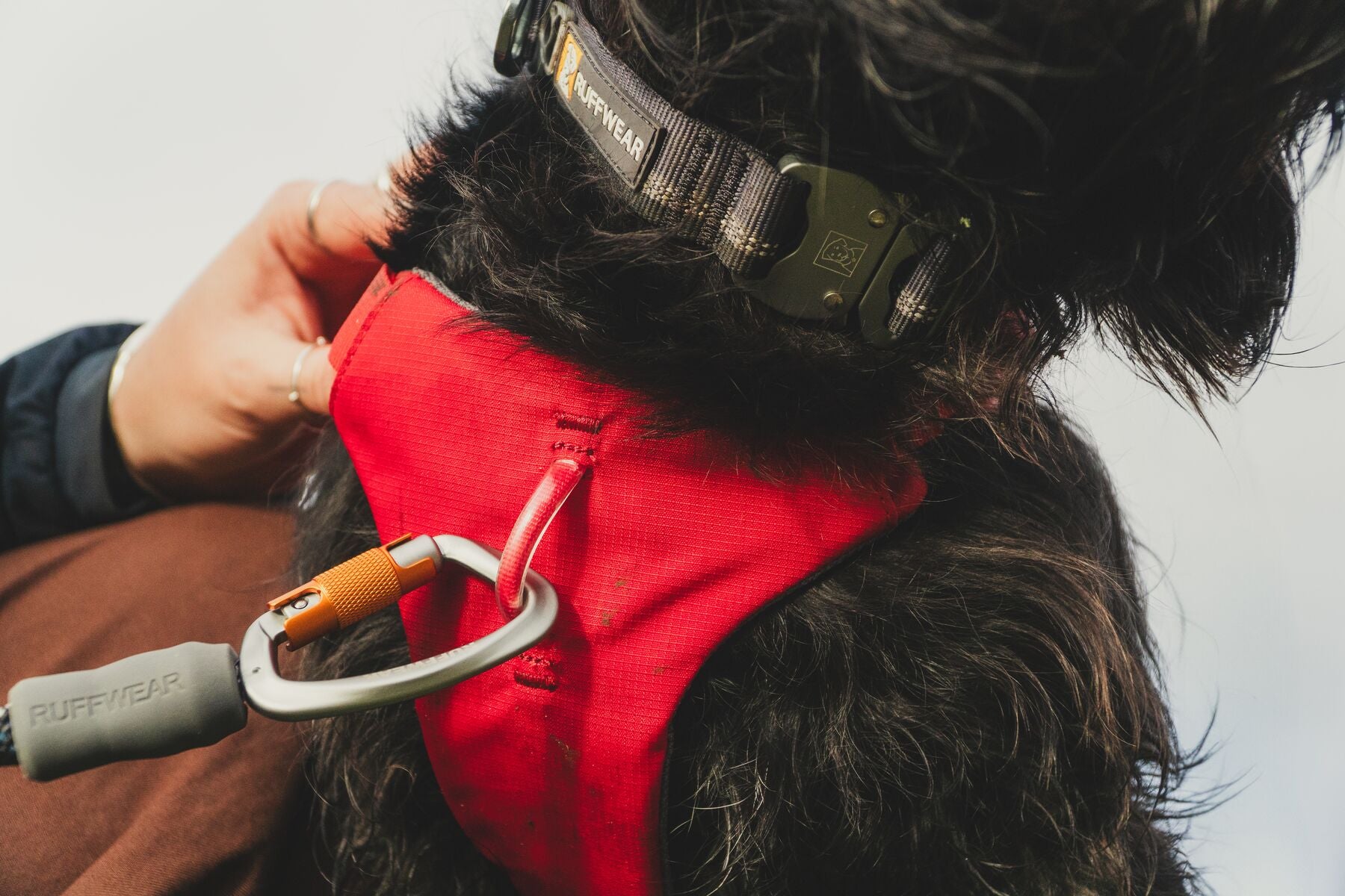 Ruffwear Dog Harness with Neck Buckle and Handle: Web Master