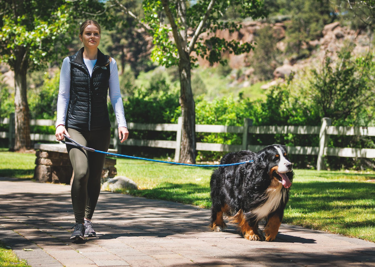 Ruffwear Dog Leash: Just-a-Cinch (new colours)