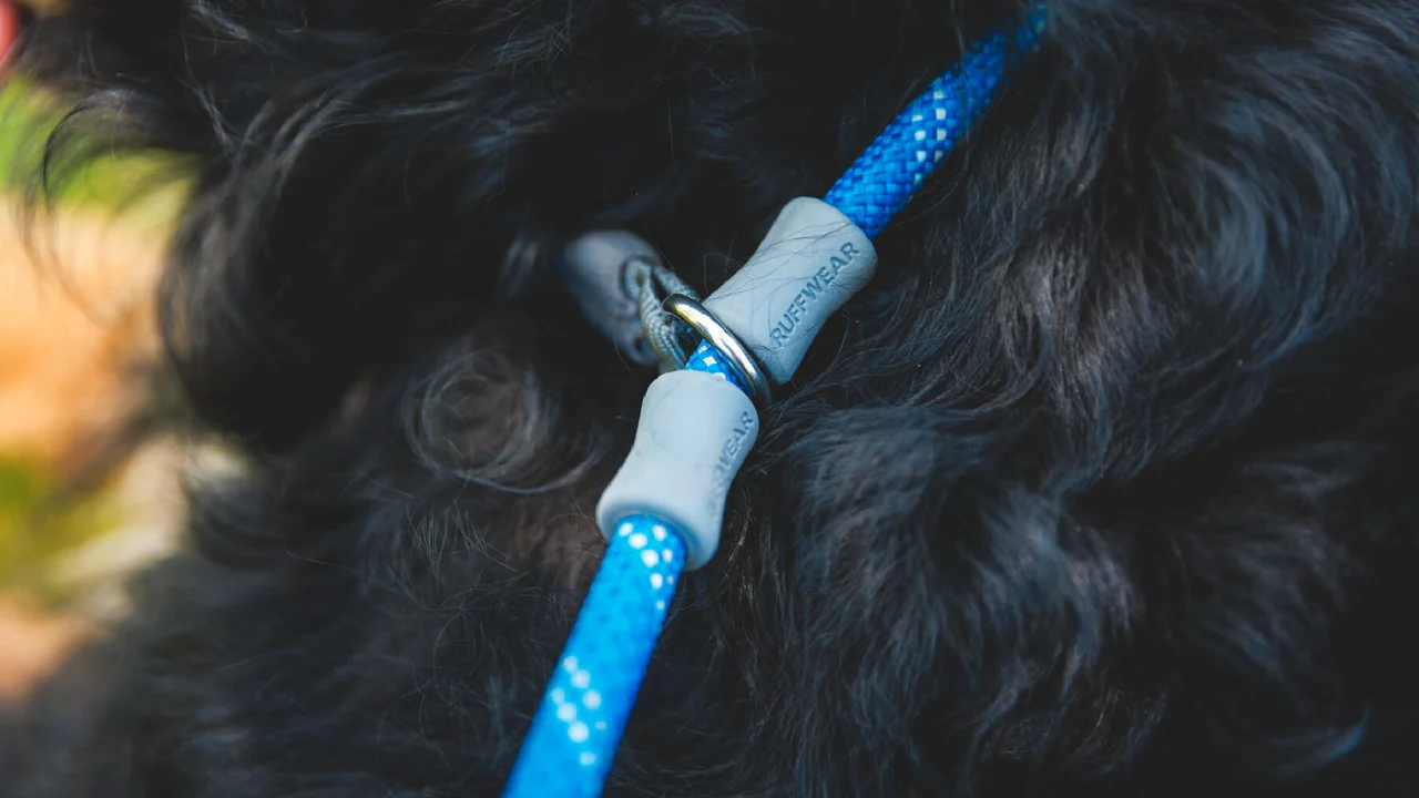 Ruffwear Dog Leash: Just-a-Cinch (new colours)