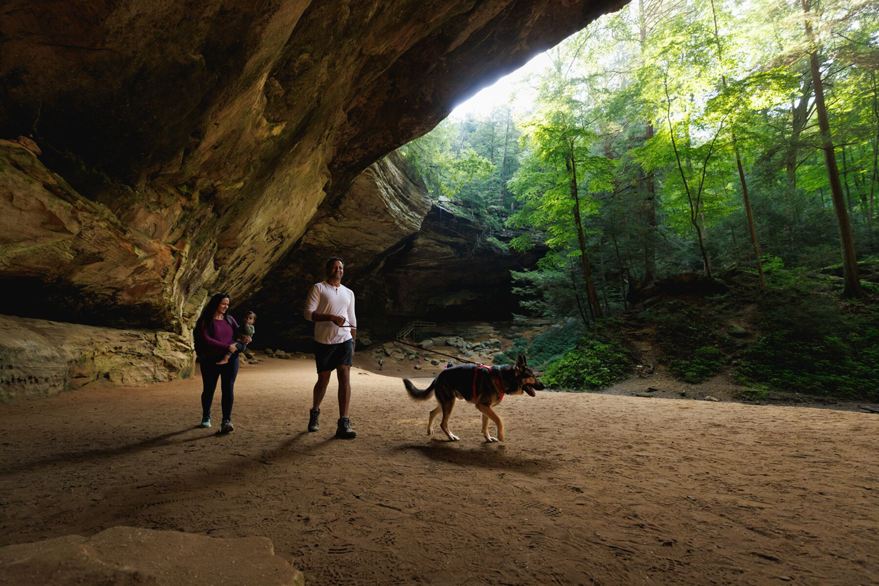 Ruffwear Dog No-Pull Harness, Front Range (new colours)