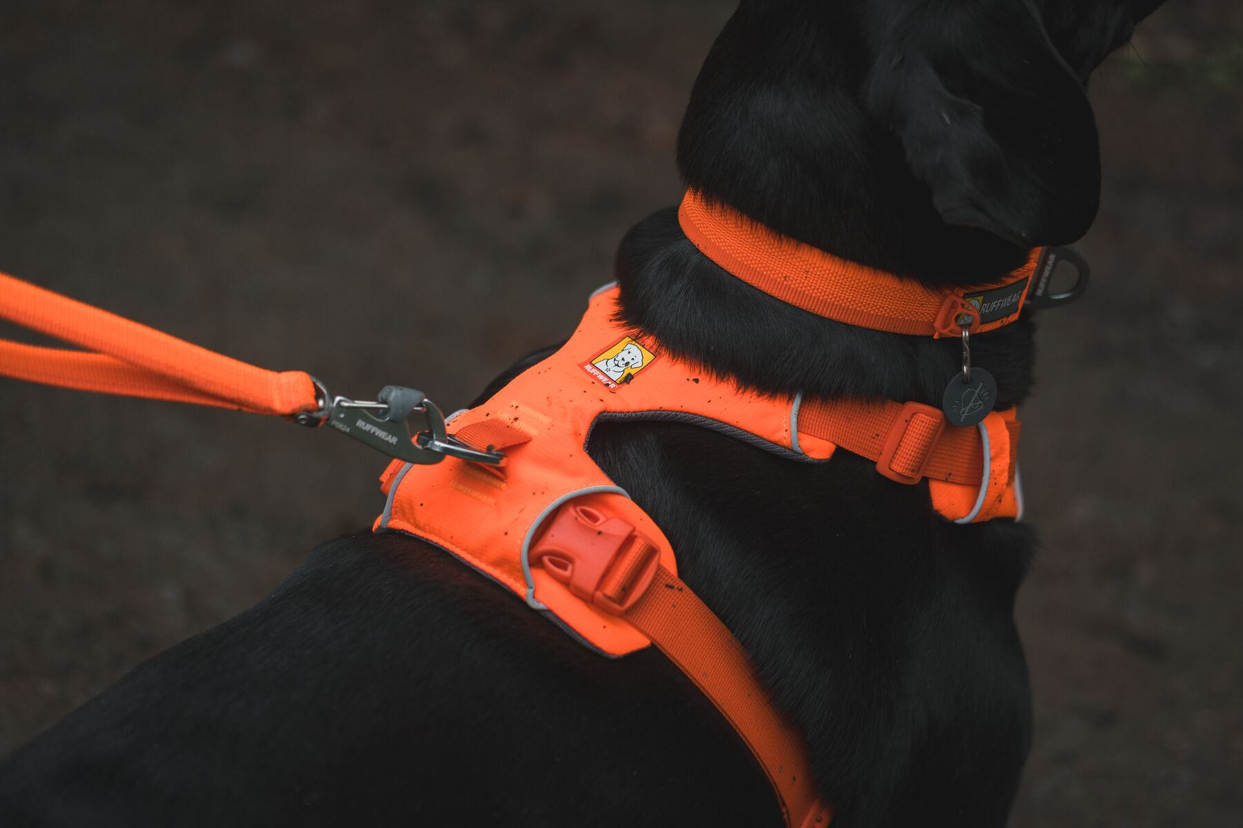 Ruffwear Dog No-Pull Harness, Front Range (new colours)