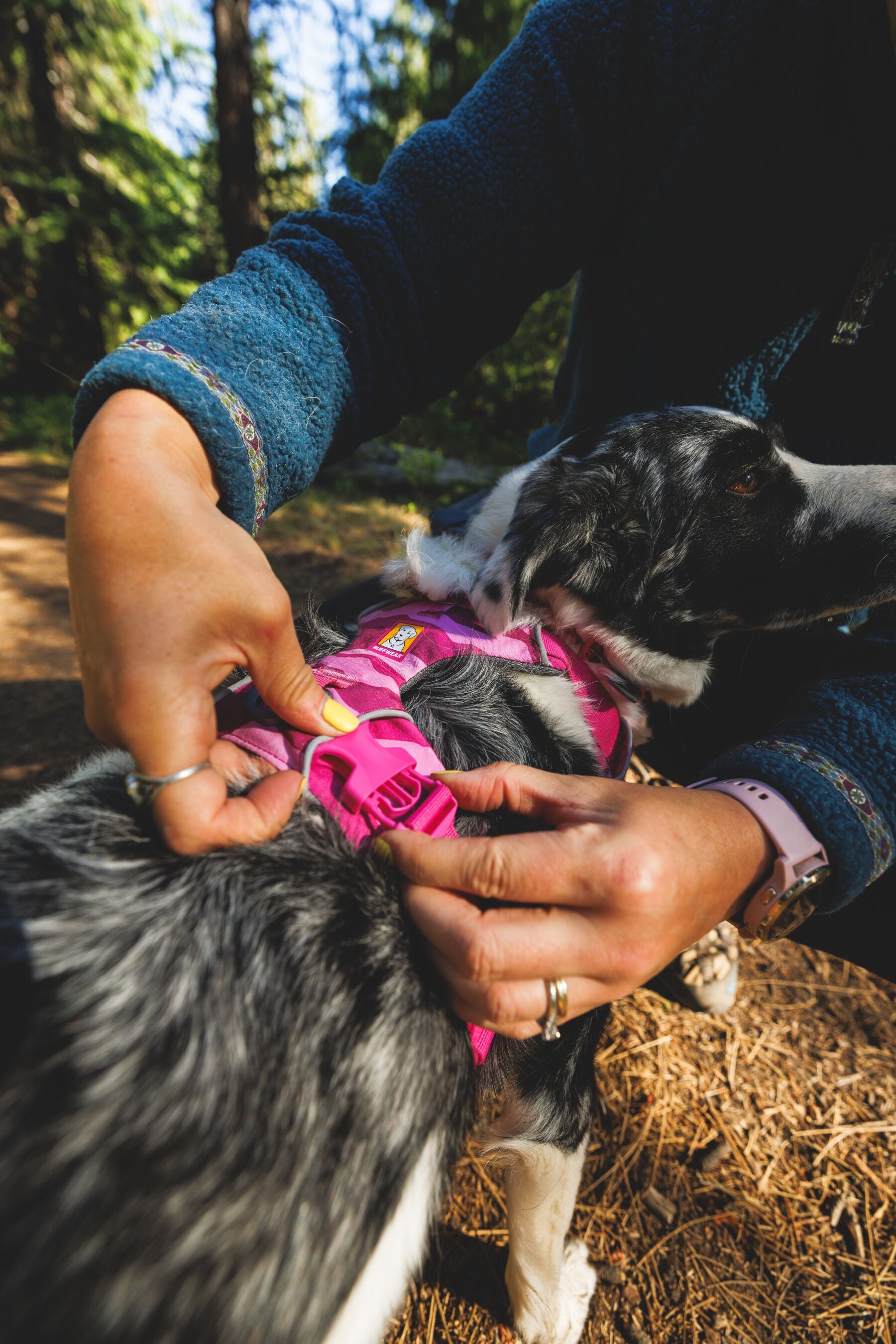 Ruffwear Dog No-Pull Harness, Front Range