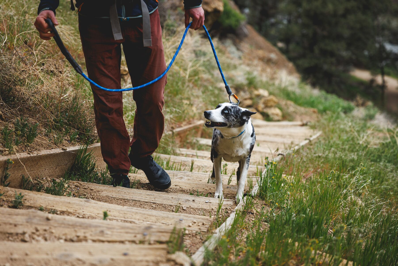 Ruffwear Dog Rope Leash, Knot-a-Leash