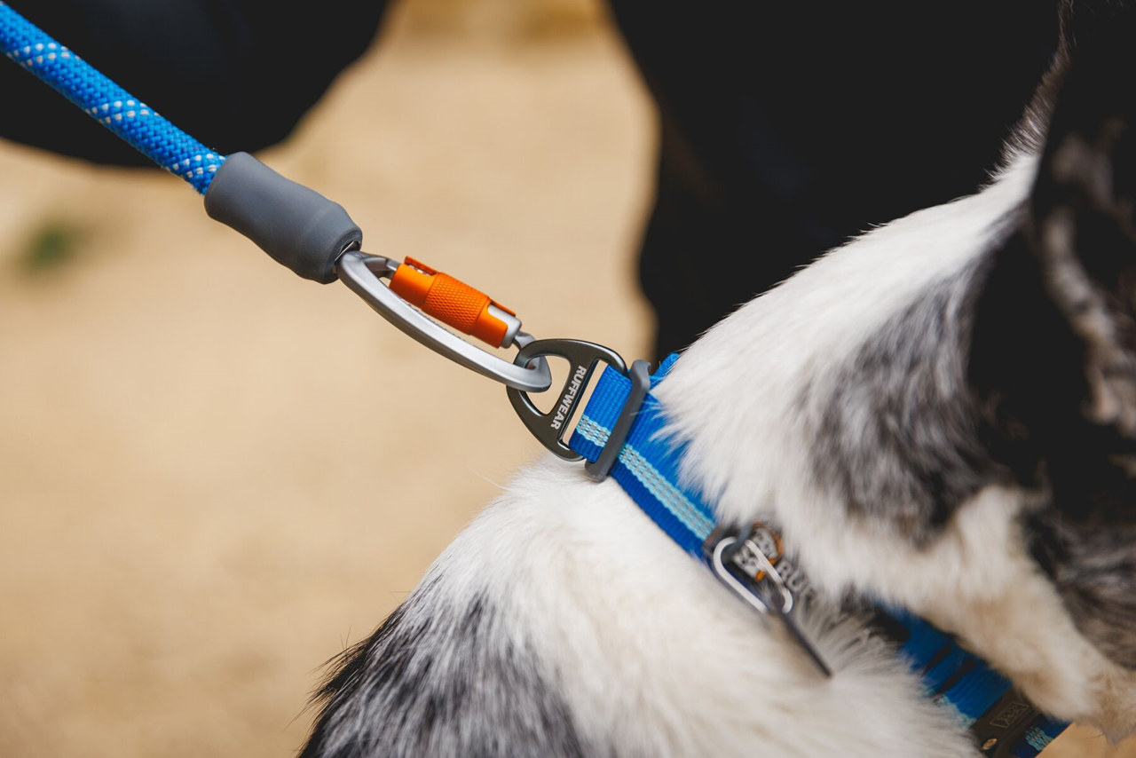 Ruffwear Dog Rope Leash, Knot-a-Leash