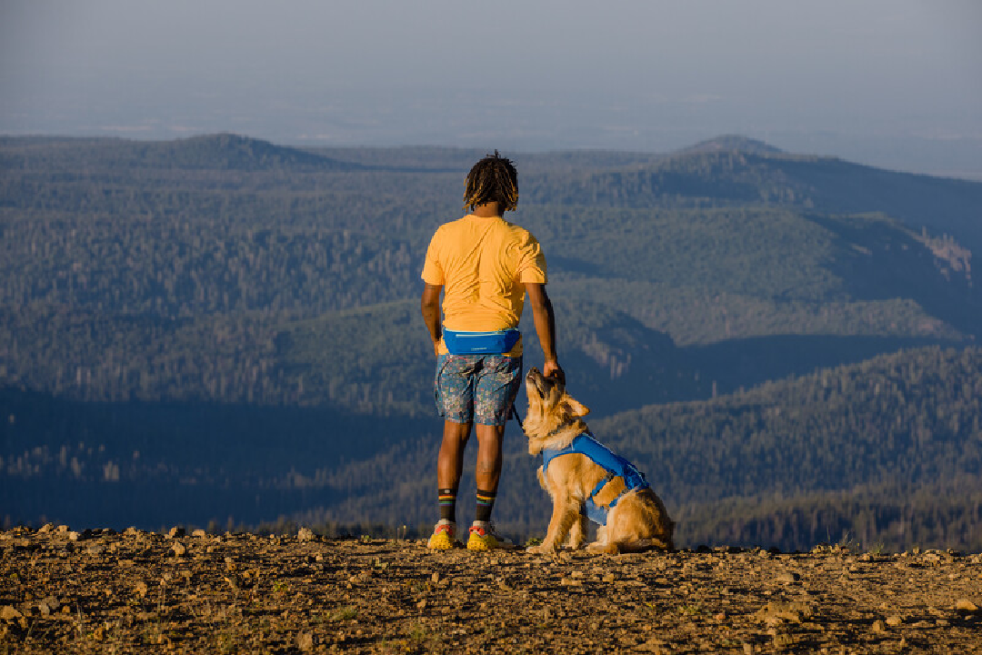 Ruffwear Dog Running Vest, Trail Runner