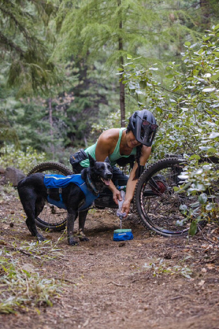 Ruffwear Dog Running Vest, Trail Runner