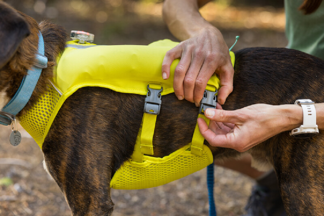 Ruffwear Dog Running Vest, Trail Runner