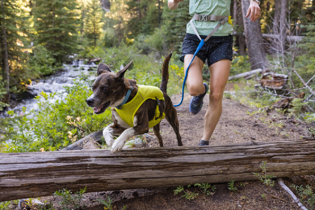 Ruffwear Dog Running Vest, Trail Runner