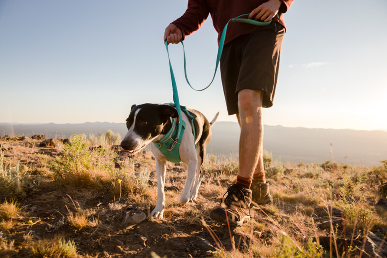 Ruffwear Front Range: Dog Leash