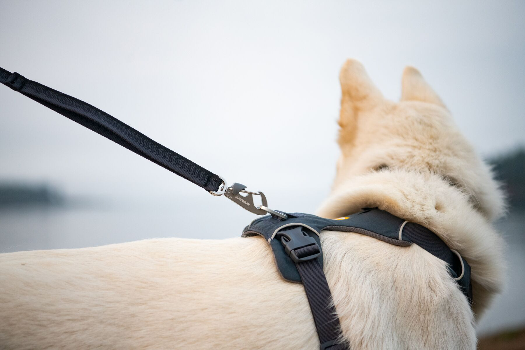 Ruffwear Front Range: Dog Leash