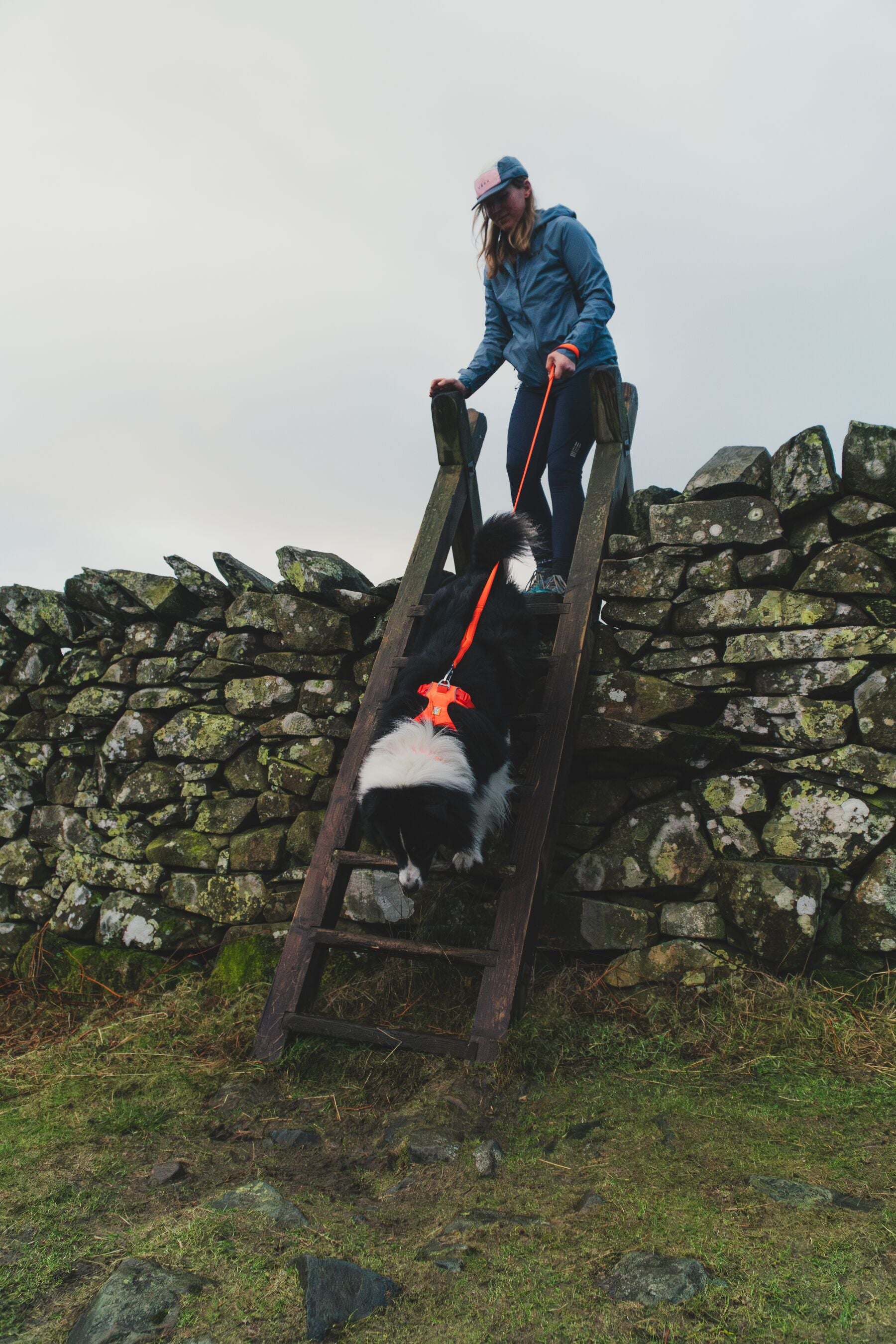 Ruffwear Front Range: Dog Leash