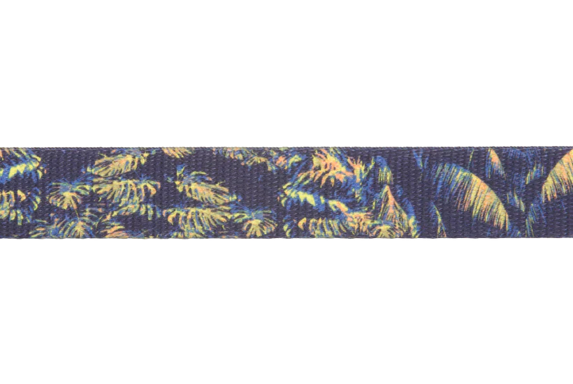 Ruffwear Front Range: Dog Leash