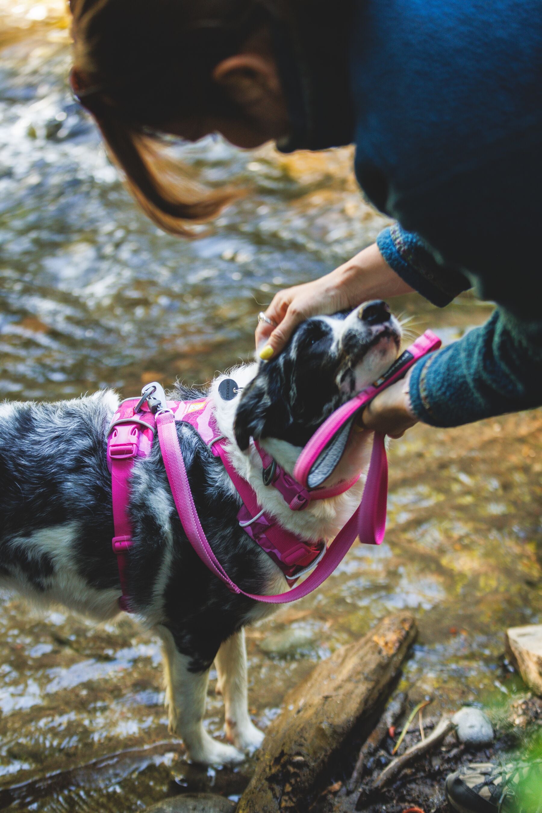 Ruffwear Front Range: Dog Leash