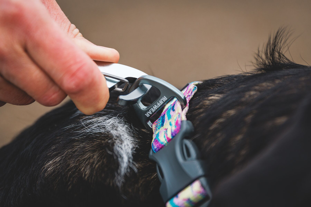 Ruffwear Front Range: Dog Leash
