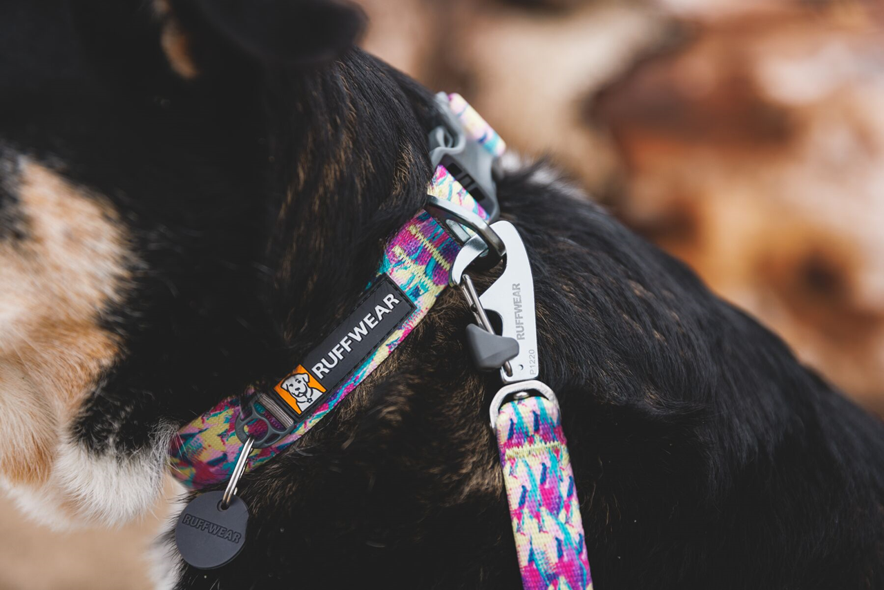 Ruffwear Front Range: Dog Leash