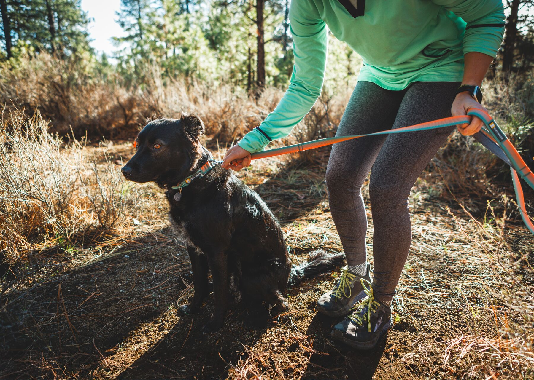Ruffwear Front Range: Dog Leash