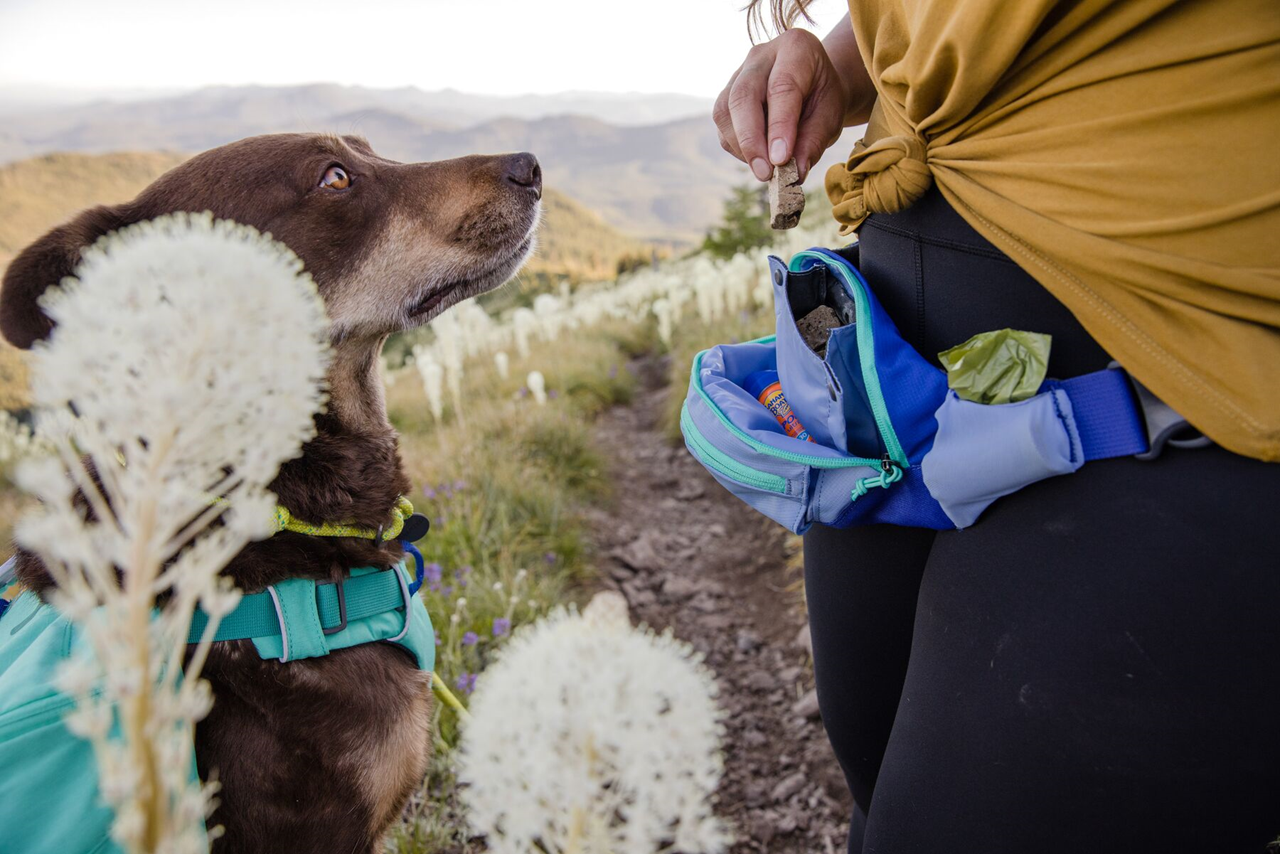 Ruffwear: Home Trail Hip Pack